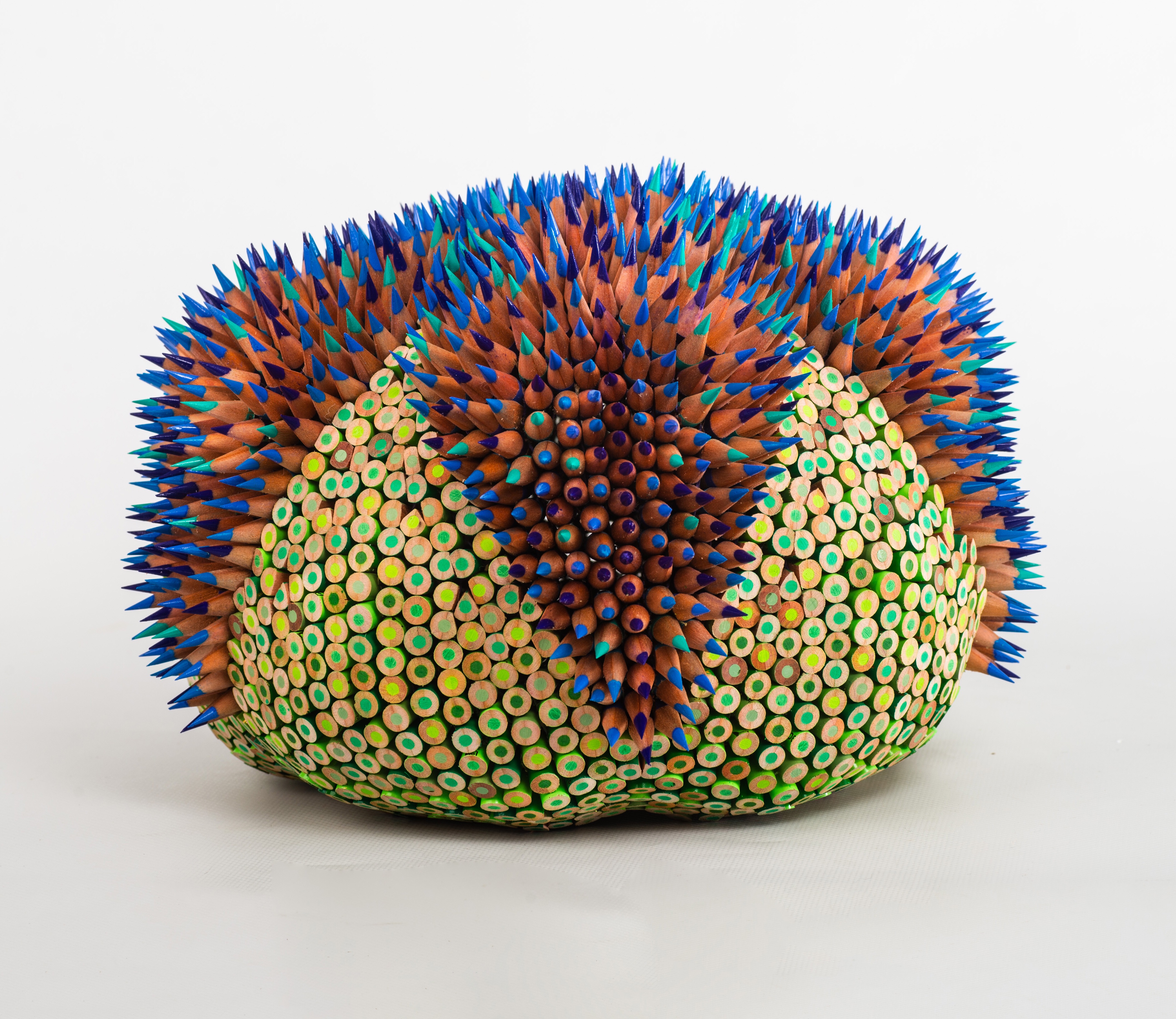 colored pencil sculpture by jen maestre | Felder Gallery