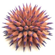 Jennifer Maestre colored pencil Sea Urchin sculpture | Felder Gallery