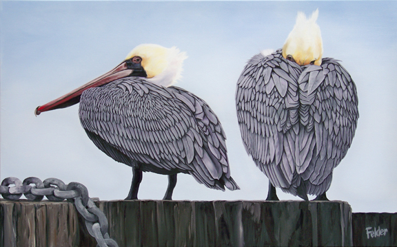 Two Brown Pelicans