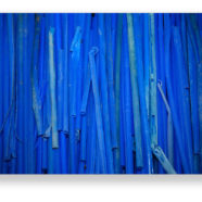 photograph of blue plastic straws by shelia rogers | Felder Gallery